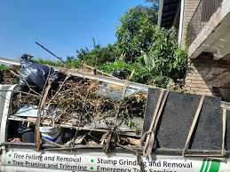  Wellston, OH Junk Removal Services Pros